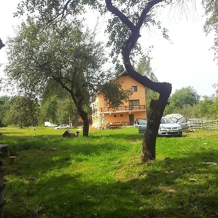 Pensiunea Elena Vistisoara