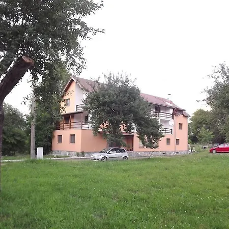 Pensiunea Elena Nocleg ze śniadaniem Vistisoara