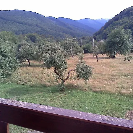Pensiunea Elena 3* Vistisoara