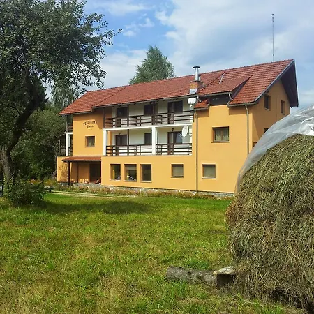 Pensiunea Elena Vistisoara