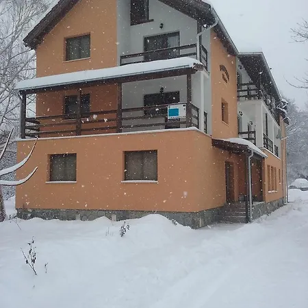 Pensiunea Elena Nocleg ze śniadaniem Vistisoara