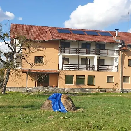 Pensiunea Elena Vistisoara